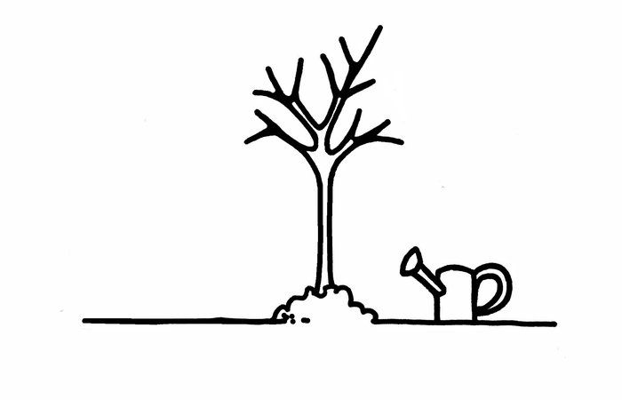 A growing tree beside a watering can